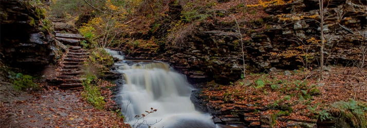 Advanced Family Chiropractic in Lock Haven PA